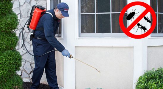 Canik Fare İlaçlama böcek ilaçlama ve haşere kontrolü — ilaclama-tr.com